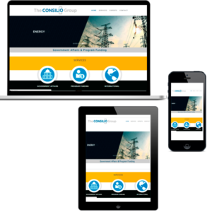 Consilio Group Website design